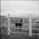 202501_R11_ElCalafate_9394-DELTA100-11