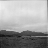 202501_R1_BA-Salta_9396-DELTA100-010