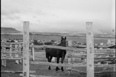 202501_R11_ElCalafate_9394-DELTA100-11