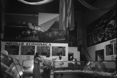 202501_R1_BA-Salta_9396-DELTA100-009