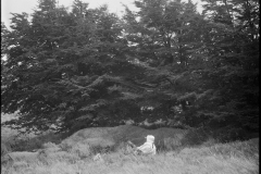 202501_R8_ElChalten_9397-PANF100-008