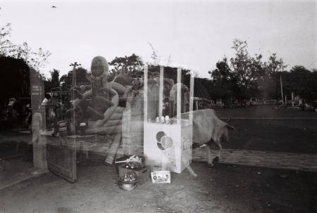 202407_重曝LucileWeddingLyonBordeauxSriLanka_ILFORDPAN100_3538-15