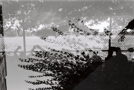 202407_重曝LucileWeddingLyonBordeauxSriLanka_ILFORDPAN100_3538-30