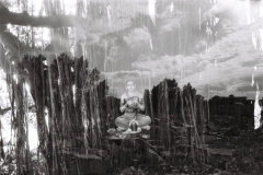 202407_重曝LucileWeddingLyonBordeauxSriLanka_ILFORDPAN100_3538-23