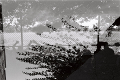 202407_重曝LucileWeddingLyonBordeauxSriLanka_ILFORDPAN100_3538-30