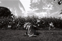 202407_重曝LucileWeddingLyonBordeauxSriLanka_ILFORDPAN100_3538-6
