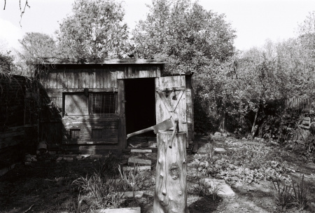 202405_minijob_KODAK400TX_18