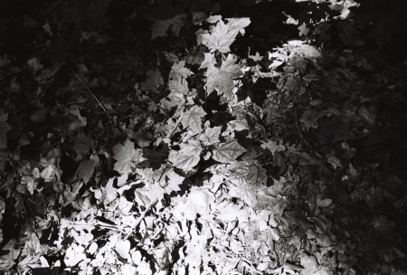 202405_minijob_KODAK400TX_2280_11