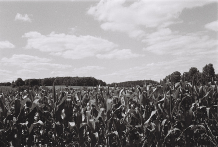 202407_R2_K400_3541-01