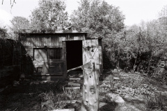 202405_minijob_KODAK400TX_18