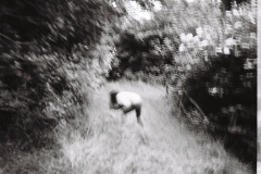202405_minijob_KODAK400TX_2280_01