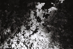 202405_minijob_KODAK400TX_2280_11
