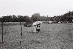 202407_R3_ILFORDHP5Plus_3540-27